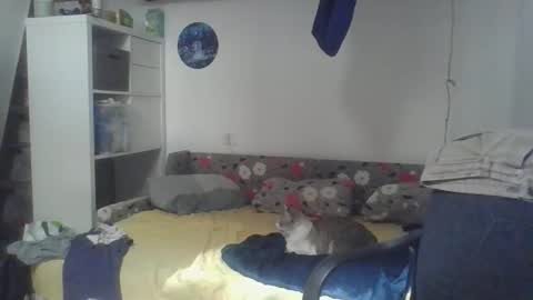 Snapshot of frcokin chatting on April 2026 12:25:01 PM frcokin online show from April 2026 12:25:01 PM