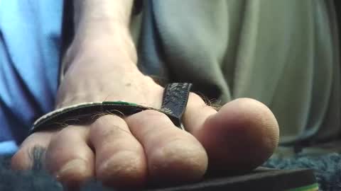 Greedy Fred online show from February 2026 04:11:02 PM