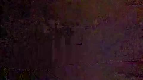 freelingling online show from November 2025 08:18:01 AM