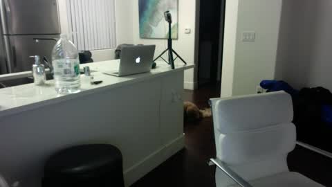 Snapshot of freesoulmovement chatting on January 2025 06:03:02 AM jasmineandaladin69 online show from January 2025 06:03:02 AM