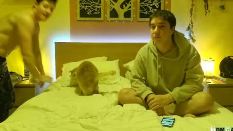 Snapshot of frenchhornybibs chatting on January 2025 08:02:02 PM French Horny Bibs online show from January 2025 08:02:02 PM