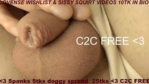 Meadow online show from February 2026 09:24:02 AM