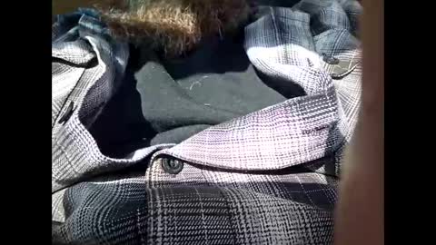 Frickish online show from January 2025 06:55:02 PM