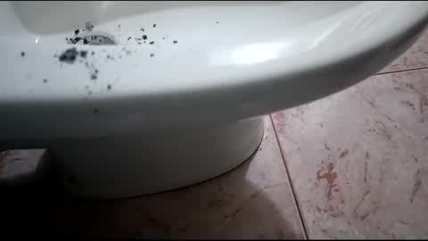 Snapshot of fronion chatting on January 2025 08:54:01 PM Hornycouple1386 online show from January 2025 08:54:01 PM