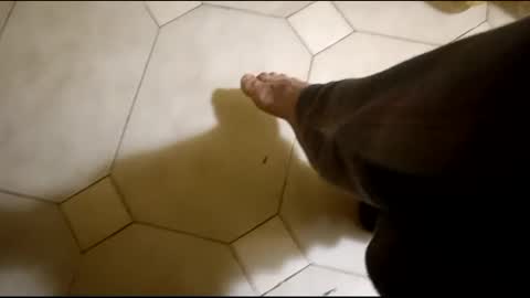 Snapshot of fronion chatting on February 2025 03:26:01 AM Hornycouple1386 online show from February 2025 03:26:01 AM