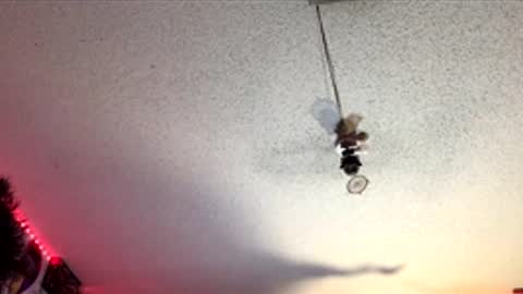 Snapshot of frozen232 chatting on April 2026 07:53:01 AM Fabian online show from April 2026 07:53:01 AM