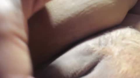 FrumCake online show from December 2024 01:18:01 AM