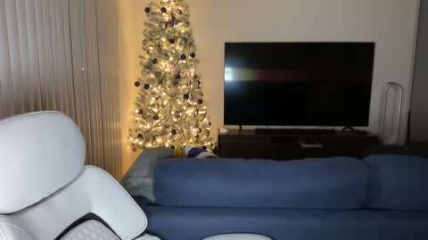 ftl7forfun online show from December 2024 06:52:01 AM