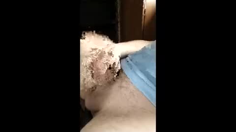 Snapshot of fucktoy972955 chatting on February 2026 03:04:02 AM fucktoy972955 online show from February 2026 03:04:02 AM