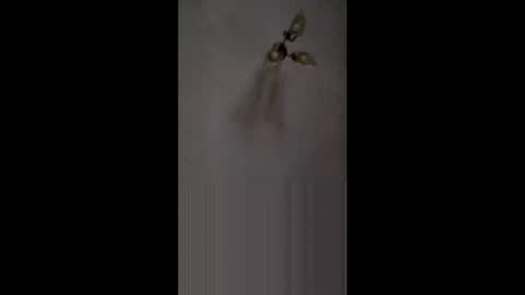 Snapshot of fucktoy972955 chatting on February 2026 03:16:02 AM fucktoy972955 online show from February 2026 03:16:02 AM