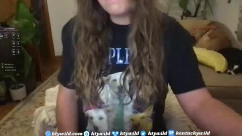   Thank you for visiting I hope you had fun 3 online show from January 2025 11:14:01 PM