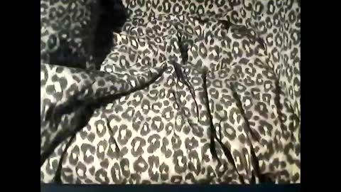 funcyman3 online show from February 2025 06:04:02 PM