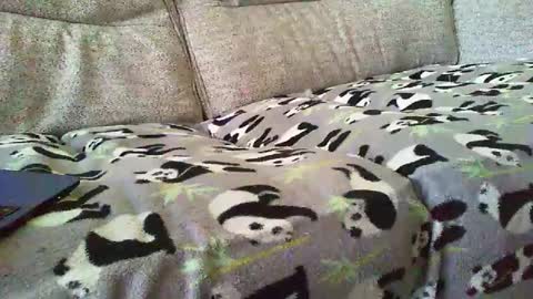 Snapshot of funslimguy chatting on December 2024 03:46:02 PM Funslimguy online show from December 2024 03:46:02 PM