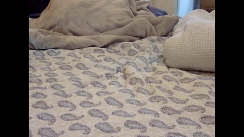 Funtimz16 online show from March 2025 08:07:01 AM