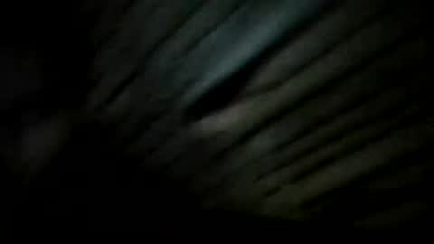 YoungBullAl online show from December 2024 07:28:02 PM