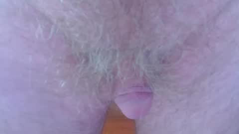 Mark online show from January 2025 03:02:02 AM