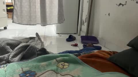 gab021593 online show from December 2025 01:30:01 PM