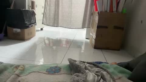 gab021593 online show from January 2026 03:06:01 PM