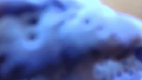 gabriela online show from February 2026 07:10:01 PM