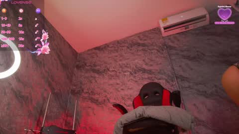 GABRIELA online show from January 2025 11:23:01 PM