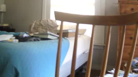 Snapshot of gallo902 chatting on February 2026 02:46:01 PM gallo902 online show from February 2026 02:46:01 PM