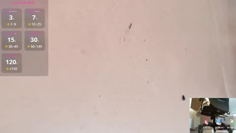 Snapshot of gambero_rosso chatting on March 2025 08:37:02 AM Tamara online show from March 2025 08:37:02 AM