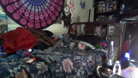 Gardenia online show from December 2025 04:51:01 AM