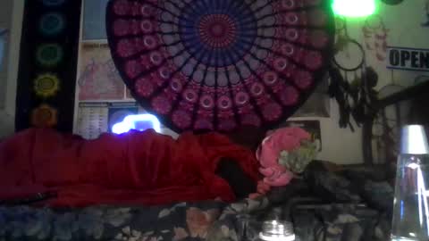 Gardenia online show from February 2026 07:36:01 AM