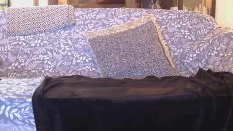 Gaz online show from January 2025 08:47:02 PM