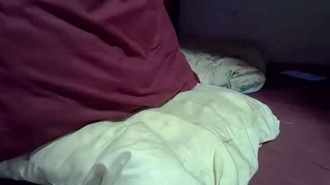 Snapshot of gasielah chatting on February 2026 07:45:01 PM gasielah online show from February 2026 07:45:01 PM