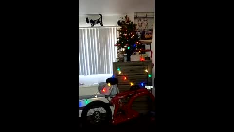 Zanecubano online show from December 2025 07:11:02 PM