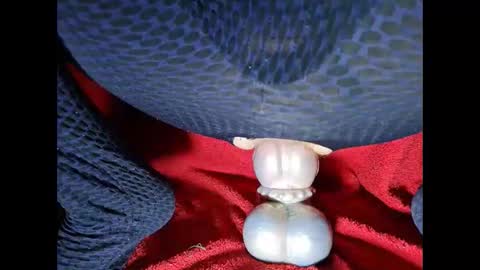 generalerectional online show from October 2025 07:42:01 AM