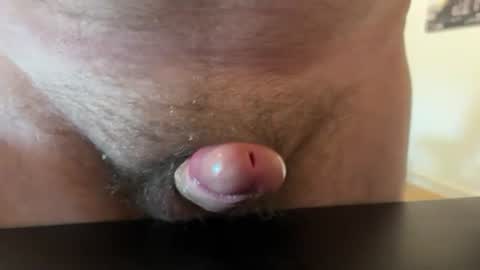gentlydave online show from July 2026 10:34:02 AM