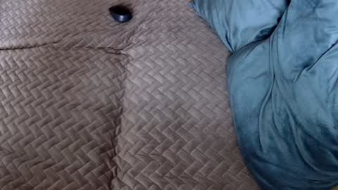 Melissa online show from November 2025 10:19:01 AM