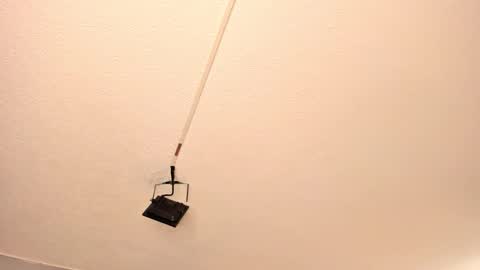 Georgina  online show from March 2026 11:05:02 AM