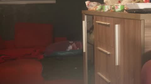 geosergiu online show from April 2026 09:58:02 AM