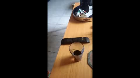 Snapshot of gergokertesz chatting on December 2024 12:55:02 PM gergokertesz online show from December 2024 12:55:02 PM