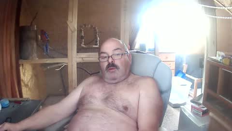 germany_50 online show from April 2026 04:12:01 PM