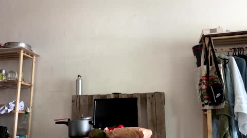 gerson229 online show from January 2026 04:11:01 PM