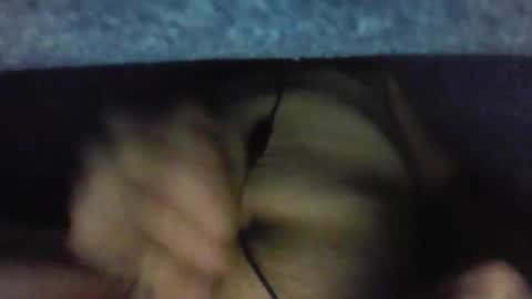 Snapshot of gezuz42069 chatting on March 2026 09:53:02 AM gezuz42069 online show from March 2026 09:53:02 AM