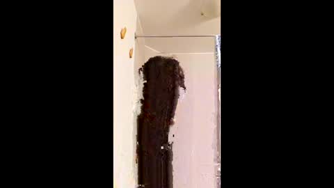 Snapshot of ggggu495826 chatting on February 2026 02:32:02 PM ggggu495826 online show from February 2026 02:32:02 PM