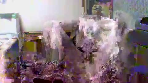 Snapshot of giann005 chatting on March 2026 03:28:01 PM giann005 online show from March 2026 03:28:01 PM