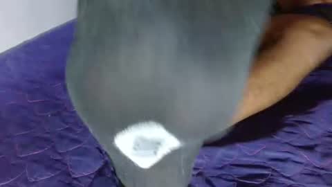Snapshot of giant_feet chatting on August 2026 10:23:01 PM BOSS online show from August 2026 10:23:01 PM