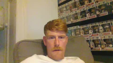 Snapshot of gingerjames90 chatting on June 2026 09:29:02 PM gingerjames90 online show from June 2026 09:29:02 PM