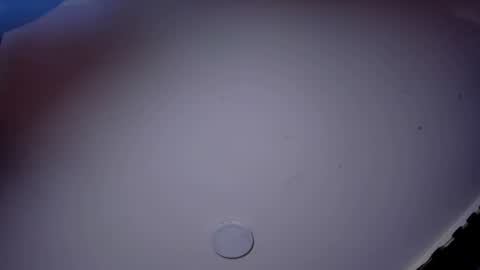 Snapshot of giomar_reyes chatting on June 2026 08:52:01 PM GIOMAR REYES online show from June 2026 08:52:01 PM