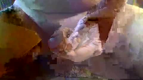 girafsnoop online show from January 2025 09:22:02 AM