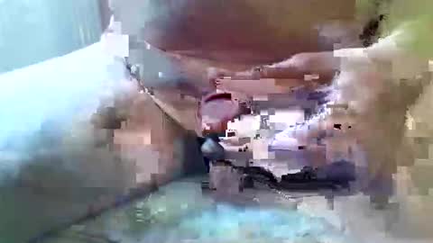 girafsnoop online show from February 2026 12:59:02 PM