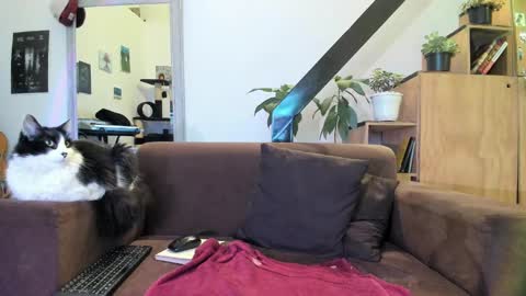 girasol1921 online show from December 2024 03:22:02 AM