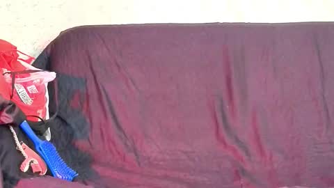 girls_the_medellin23_aws online show from October 2025 03:40:01 AM
