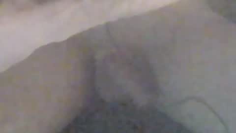 lovegirlscallme online show from January 2026 09:09:01 PM